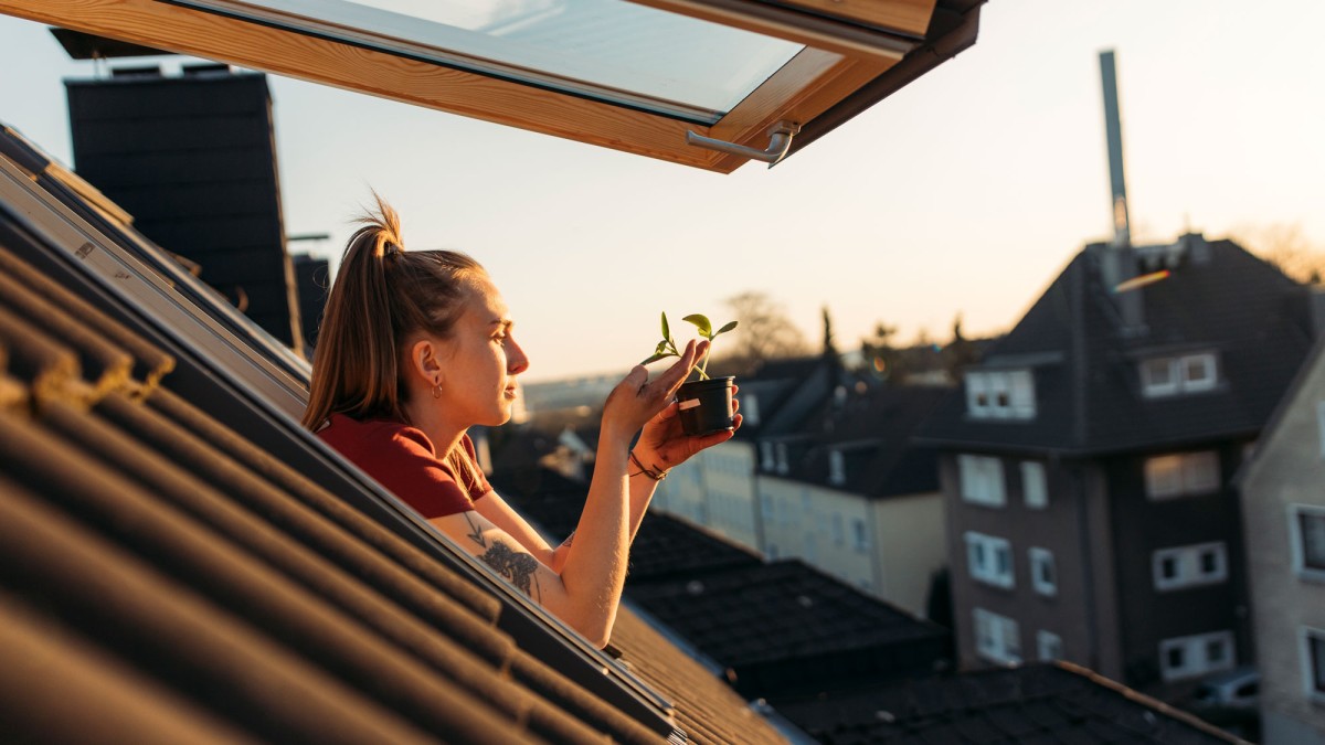 Frau mit Pflanze in der Hand an geöffnetem Dachfenster