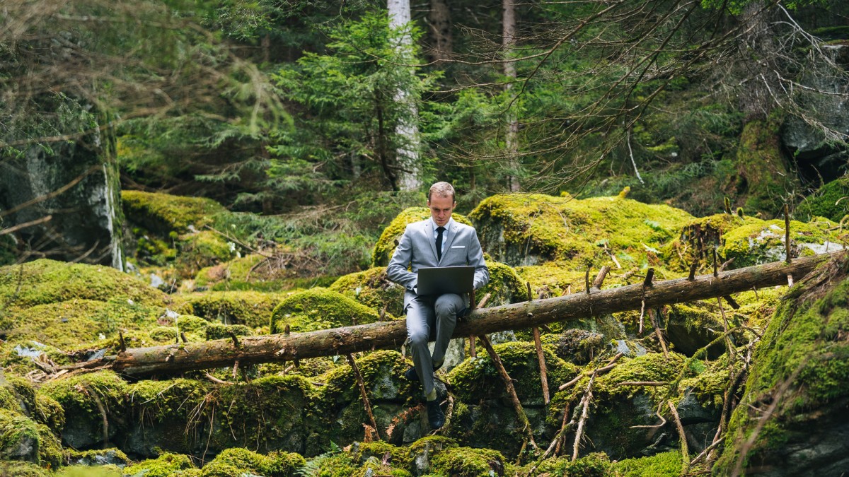 Businessmann sitzt im Anzug auf einem Stamm im Wald